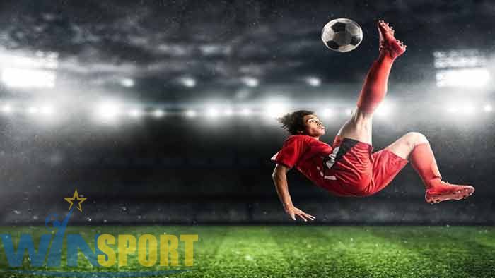 ویژگی‌های معتبرترین سایت شرط بندی جهان